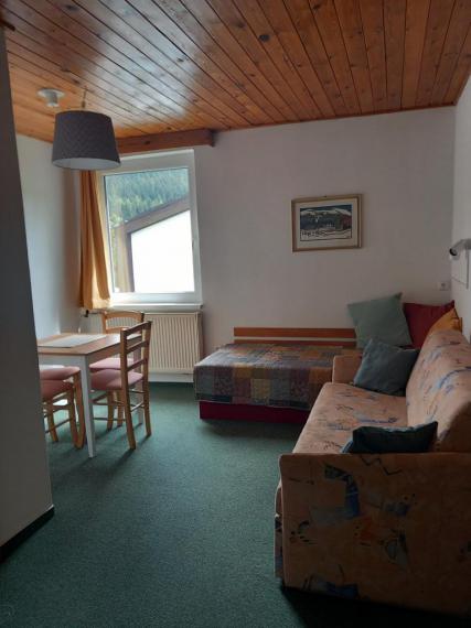 lůžkový s výhledem do zahrady 